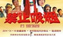 电影禁止吸烟在线观看,电影禁止吸烟深度解析